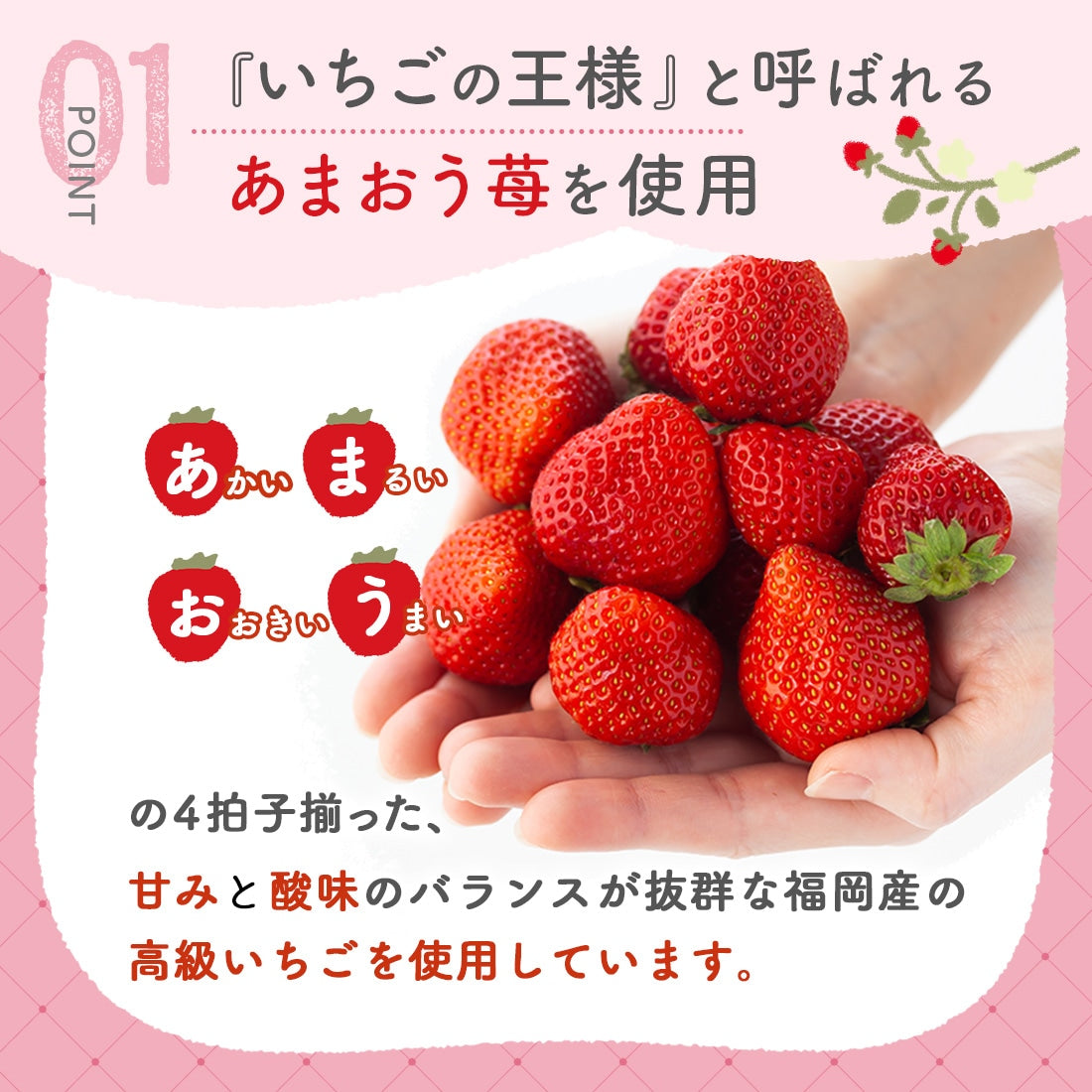 【Ichigo no Waltz 草莓華爾茲】 博多甘王草莓朱古力脆脆