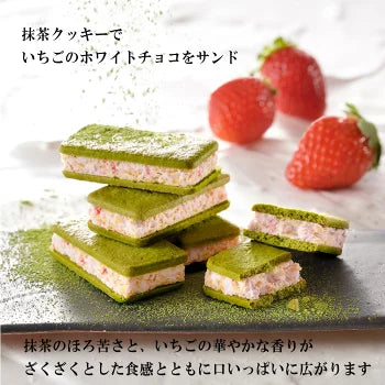 【KYOTO VENETO】Cho-Berry-Cha 抹茶 × 甘王草莓朱古力夾心