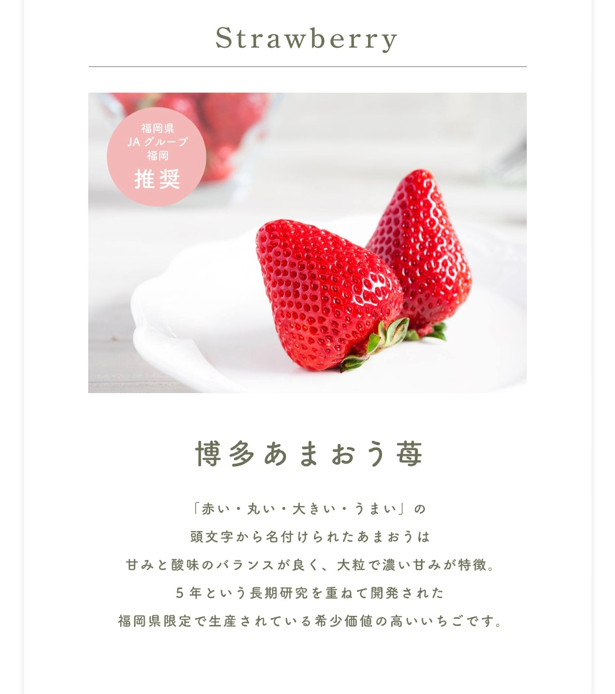 【Ichigo no Waltz 草莓華爾茲】 博多甘王草莓2種甜點禮盒