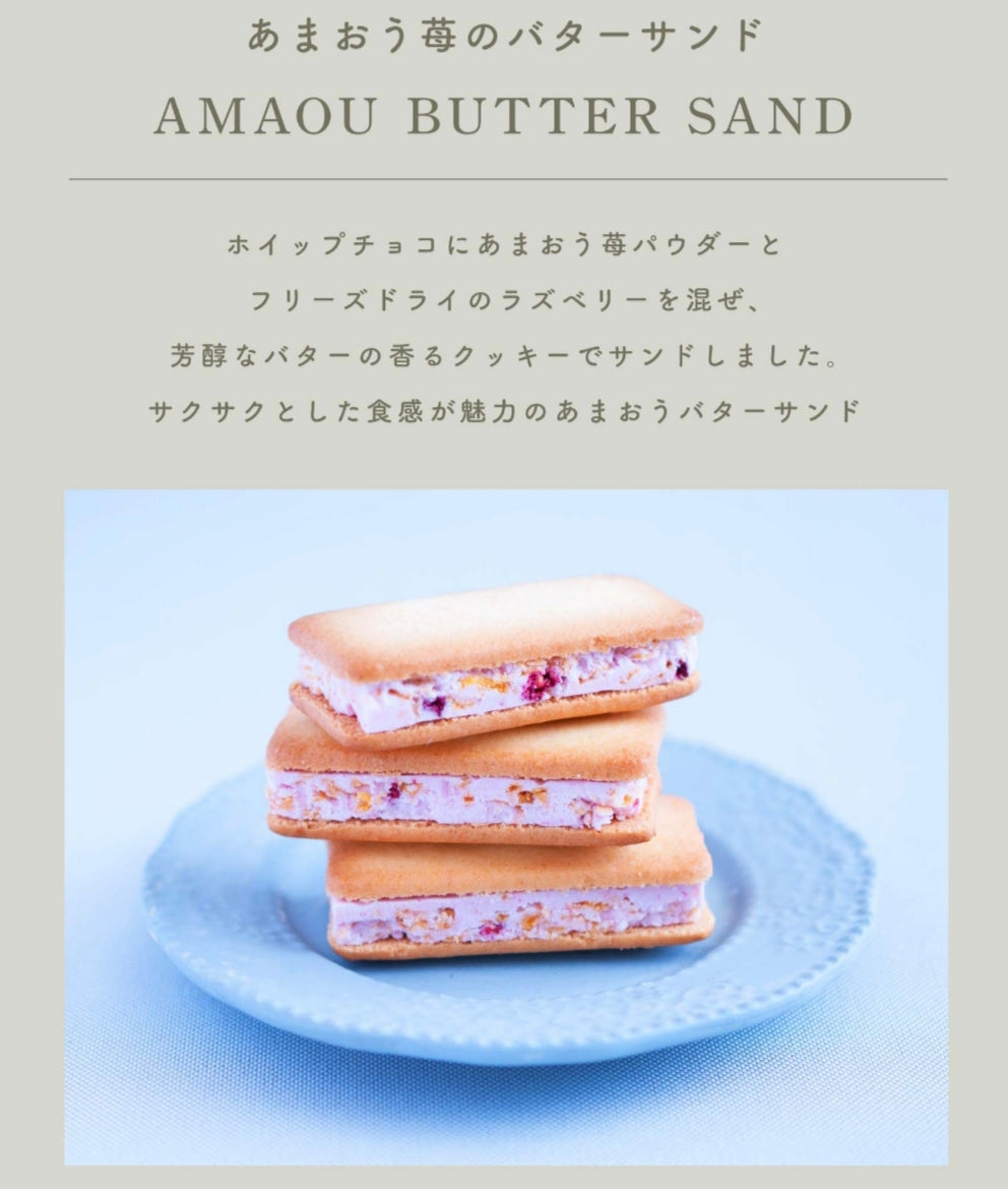 【Ichigo no Waltz 草莓華爾茲】 博多甘王草莓2種甜點禮盒