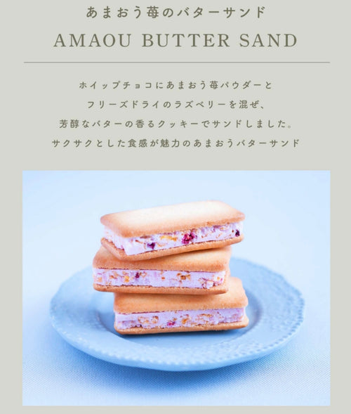 【Ichigo no Waltz 草莓華爾茲】 博多甘王草莓2種甜點禮盒